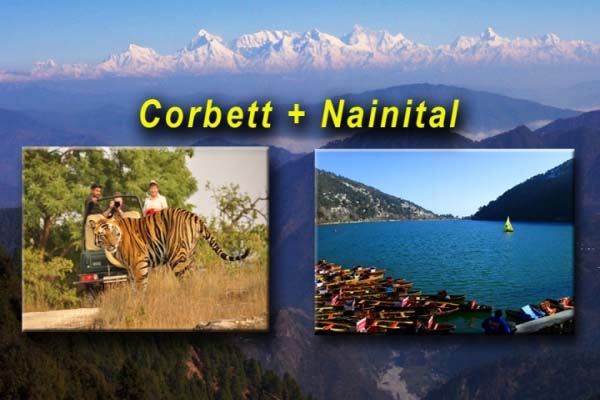 1467784420_0naini 1.jpeg